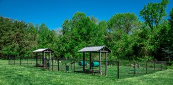Bark parks with agility equipment